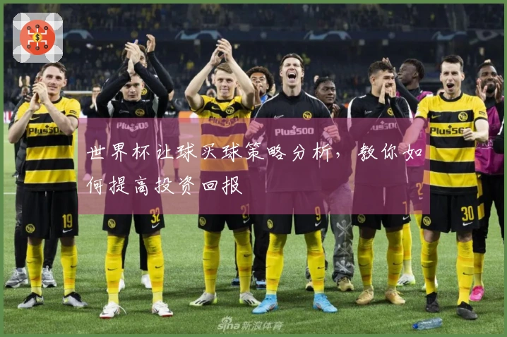 世界杯让球买球策略分析，教你如何提高投资回报