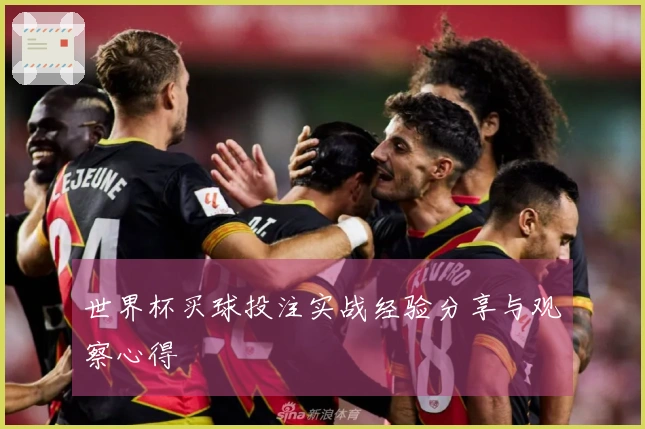 世界杯买球投注实战经验分享与观察心得
