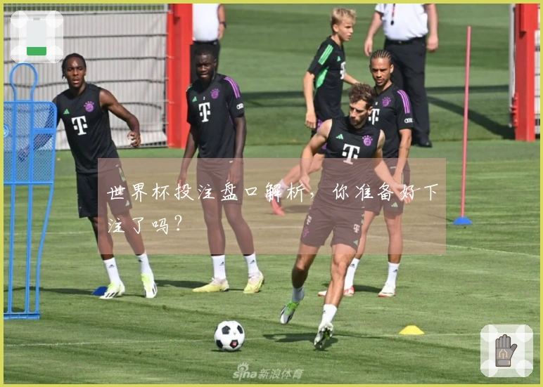 世界杯投注盘口解析，你准备好下注了吗？