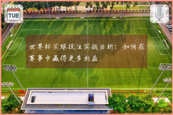 世界杯买球投注实战分析：如何在赛事中赢得更多利益