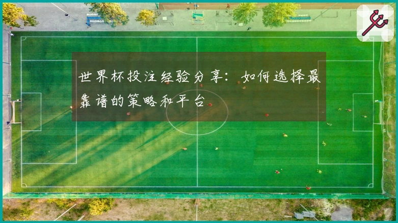 世界杯投注经验分享：如何选择最靠谱的策略和平台