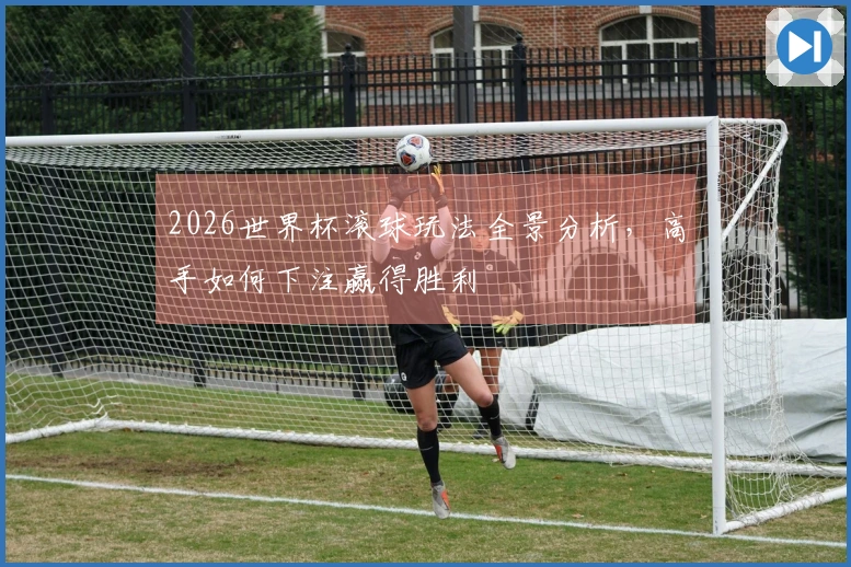 2026世界杯滚球玩法全景分析，高手如何下注赢得胜利